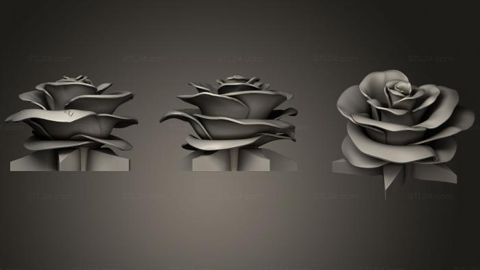 Jewelry (Rose  Real Flower, JVLR_1141) 3D models for cnc